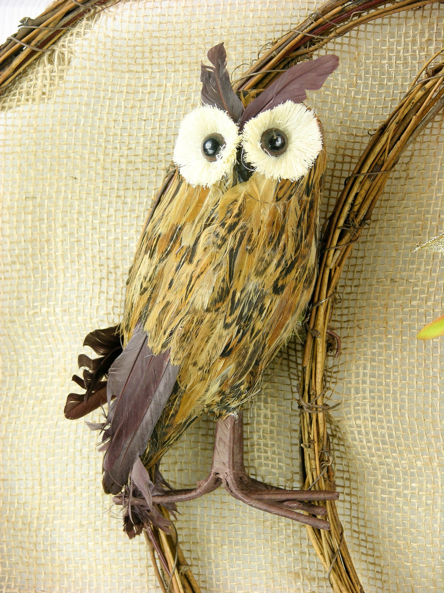 Autumn Owl Grapevine Pumpkin Door Hanger with Fall Bows and Leopard Accents