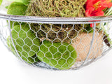 Rooster in Chicken Wire Basket