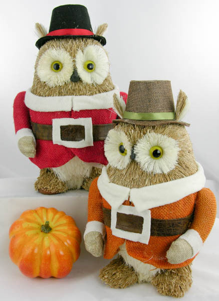 Pilgrim Owl