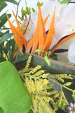 Summer Tropical Parrot Wreath